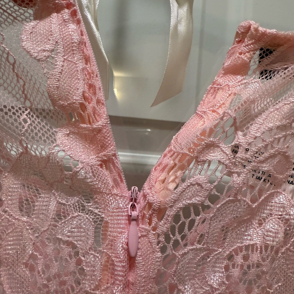 Parisian Works Blush Lace Bodysuit - Picture 7 of 8